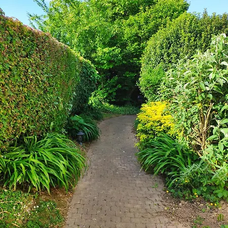 Violette Et Bruno 3* Leulinghen-Bernes