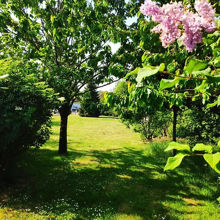 Violette Et Bruno 3*